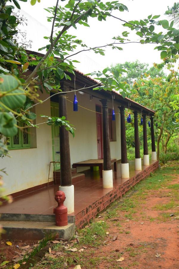 Paradise Quest Nature Farmhouse Villa Kalapettai Ngoại thất bức ảnh