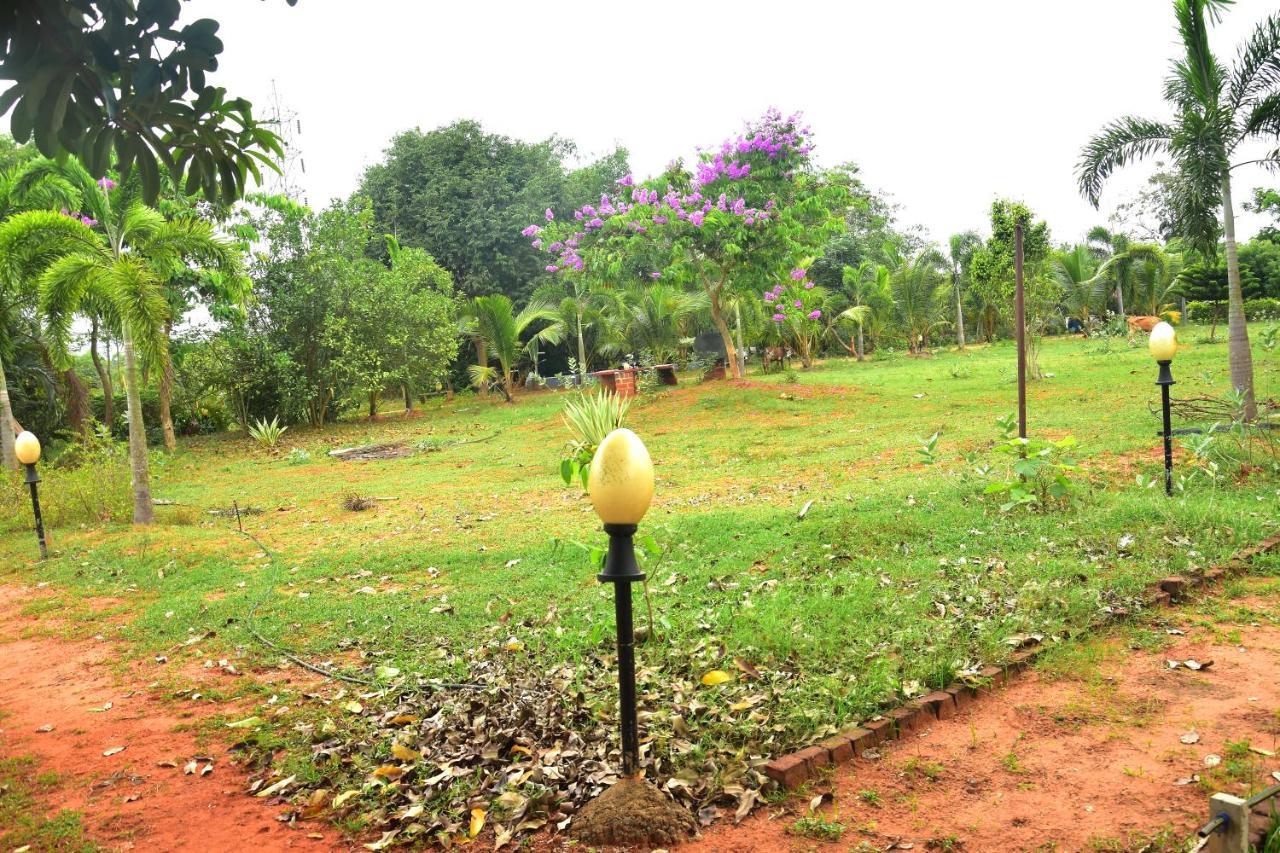 Paradise Quest Nature Farmhouse Villa Kalapettai Ngoại thất bức ảnh